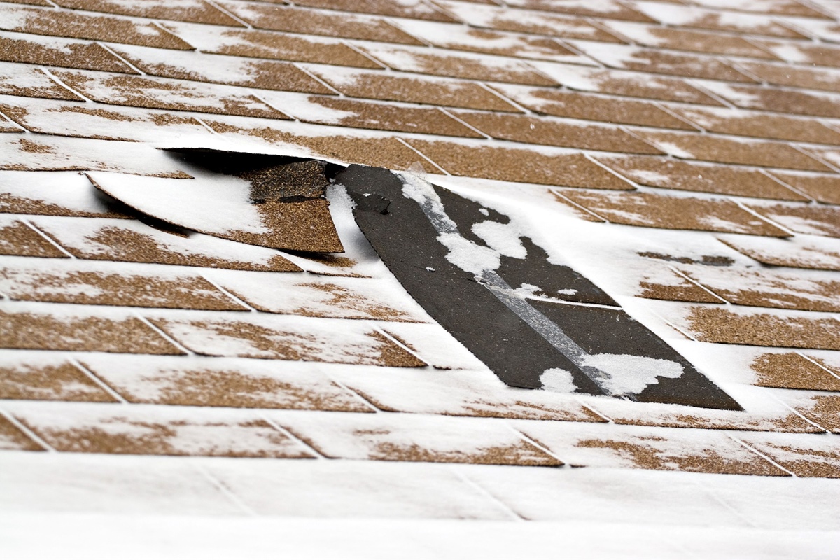 Common Signs of Shingle Roof Failure & What They Mean